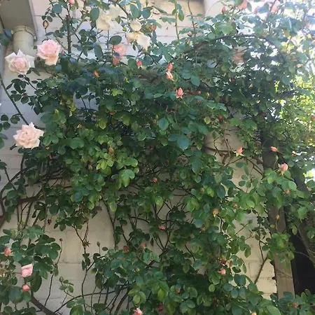 Deborah's Hiding Place Alkmaar