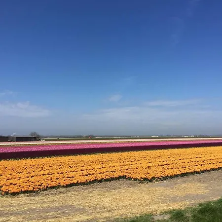 Deborah's Hiding Place * ألكمار