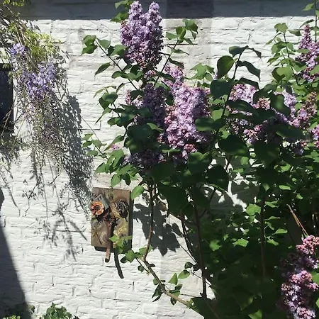 Deborah's Hiding Place *