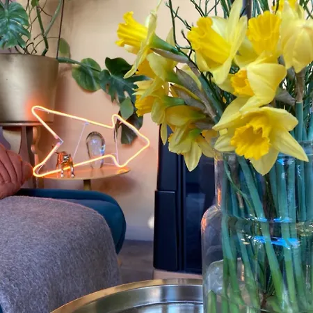 Deborah's Hiding Place Apartmán Alkmaar