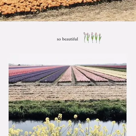 شقة Deborah's Hiding Place ألكمار