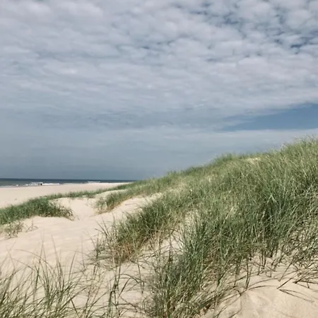 Deborah's Hiding Place *