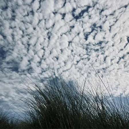 Deborah's Hiding Place * Alkmaar