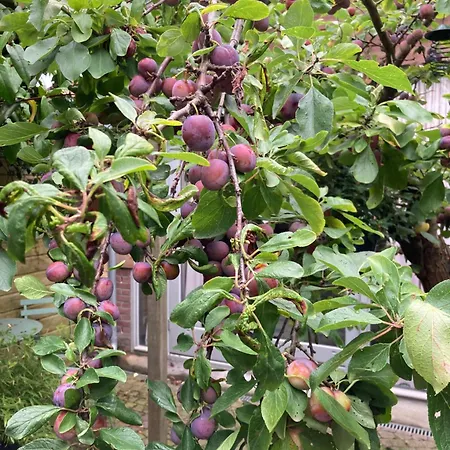 Apartmán Deborah's Hiding Place *