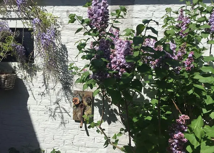 Deborah's Hiding Place *