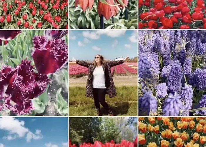 Deborah's Hiding Place Alkmaar