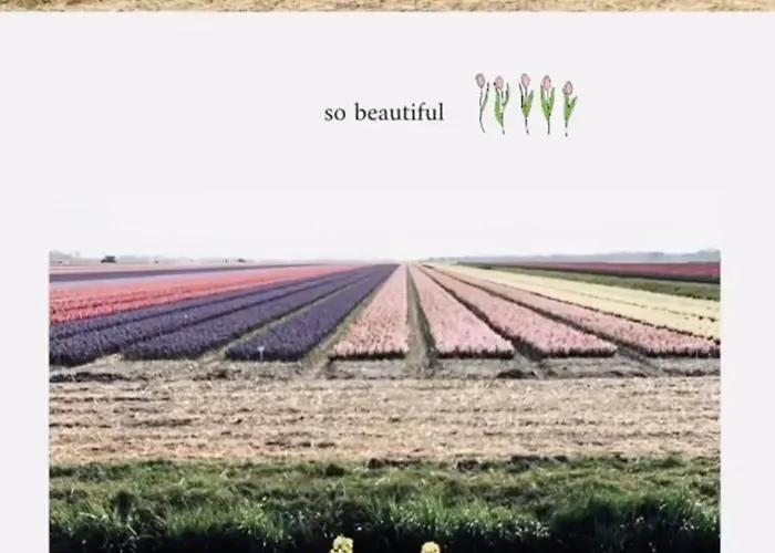 Appartamento Deborah's Hiding Place Alkmaar